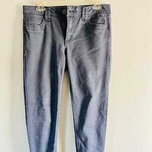 Democracy AB Technology Pant Jean 6 Skinny Leg Ankle Gray